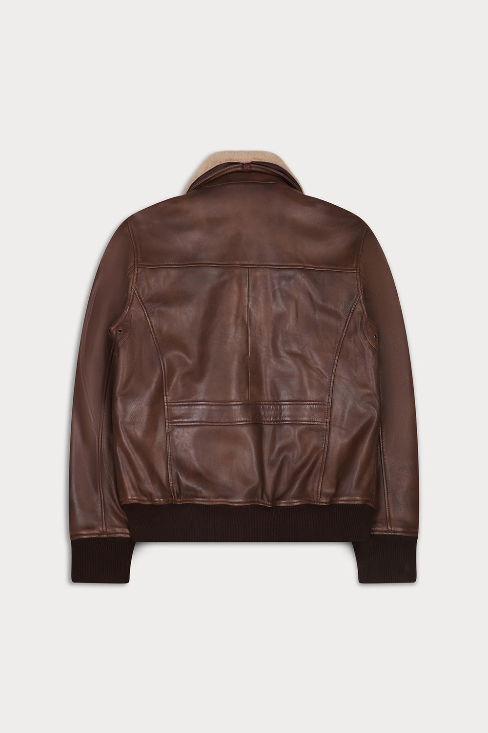 SLY_CO-DFOUR-Back view
